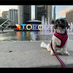 Meet your Posher, Tanya